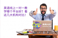 英語線上一對一教學(xué)哪個平臺好？看這幾大機構(gòu)對比！