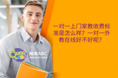 一對(duì)一上門(mén)家教收費(fèi)標(biāo)準(zhǔn)是怎么樣？一對(duì)一外教在線好不好呢？