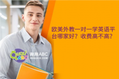 歐美外教一對(duì)一學(xué)英語平臺(tái)哪家好？收費(fèi)高不高？
