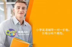 小學(xué)英語(yǔ)輔導(dǎo)一對(duì)一價(jià)格，價(jià)格分析不再愁。